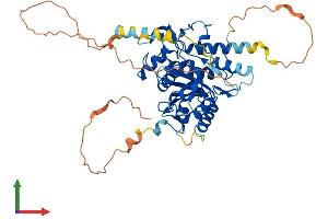 Protein Structure (PS) image for Autophagy related 4D Cysteine Peptidase (ATG4D) (AA 1-474) protein (His tag) (ABIN7564346)