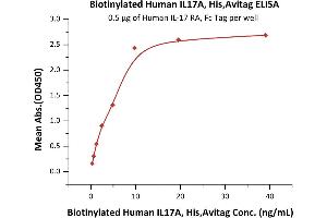 ELISA image for Interleukin 17A (IL17A) (AA 24-155) (Active) protein (His tag,AVI tag,Biotin) (ABIN6810035)