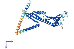 CENPP Protein (AA 1-286) (His tag)