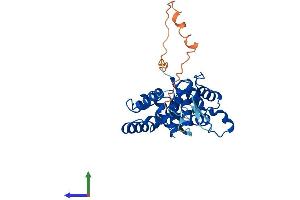 Protein Structure (PS) image for Golgi phosphoprotein 3 (Coat-Protein) (GOLPH3) (AA 1-298) protein (His tag) (ABIN7560628)