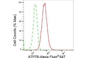 Flow cytometric analysis of ATP7B expression in HepG2 cells using ATP7B antibody (ABIN7797696), 1:2,000). (Rekombinanter ATP7B Antikörper)