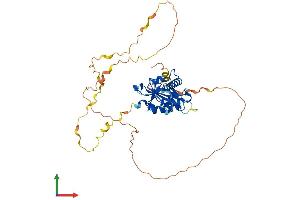 Protein Structure (PS) image for Chromosome 6 Open Reading Frame 134 (C6orf134) (AA 1-421) protein (His tag) (ABIN7552535)