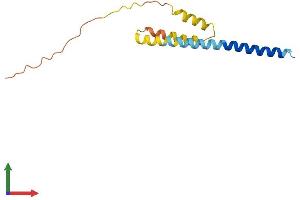 Protein Structure (PS) image for Interferon-Induced Transmembrane Protein 1 (IFITM1) (AA 1-125) protein (His tag) (ABIN7554149)