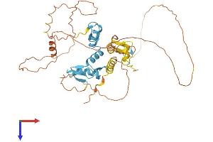 IKZF5 Protein (AA 1-419) (His tag)