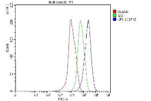 Flow Cytometry analysis of HepG2 cells using anti-Neurofibromin/NF1 antibody (ABIN7600196). (Neurofibromin 1 Antikörper  (AA 160-270))