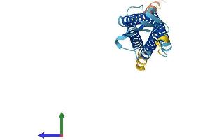Protein Structure (PS) image for Transmembrane Protein 37 (TMEM37) (AA 1-211) protein (His tag) (ABIN7561609)
