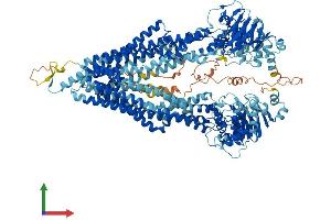 Protein Structure (PS) image for ATP-Binding Cassette, Sub-Family B (MDR/TAP), Member 11 (ABCB11) (AA 1-1321) protein (His tag) (ABIN7551794)