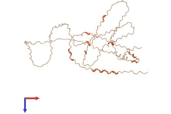 EPM2A Protein (AA 1-344) (His tag)