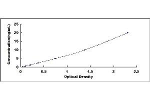 Typical standard curve (IL-6 Receptor ELISA Kit)