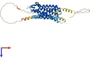 SSTR1 Protein (AA 1-391) (His tag)