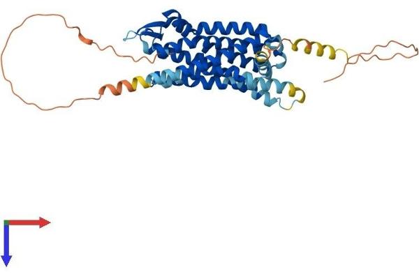 SSTR1 Protein (AA 1-391) (His tag)