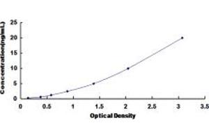 Typical standard curve (PERK ELISA Kit)