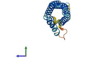 Protein Structure (PS) image for Cornichon Homolog 3 (CNIH3) (AA 1-160) protein (His tag) (ABIN7546622)