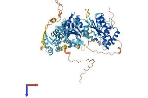 ERCC3 Protein (AA 1-782) (His tag)