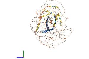 Protein Structure (PS) image for Nestin (NES) (AA 1-1621) protein (His tag) (ABIN7554705)