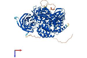 ERAP1 Protein (AA 1-941) (His tag)