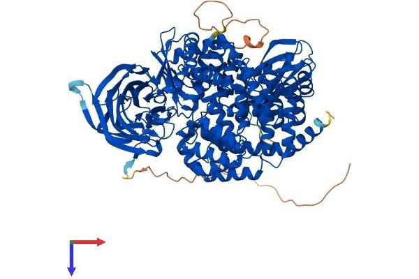 ERAP1 Protein (AA 1-941) (His tag)