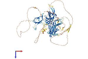 DNAAF2 Protein (AA 1-837) (His tag)