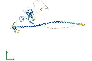 Protein Structure (PS) image for BRCA1 Associated Protein (BRAP) (AA 1-591) protein (His tag) (ABIN7560412)