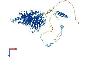 DNAI2 Protein (AA 1-605) (His tag)