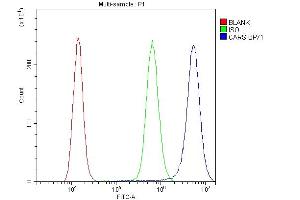 Flow Cytometry analysis of A431 cells using anti-CARS antibody (ABIN5692995).