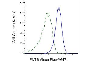 Validation of FNTB knockdown using flow cytometry. (Rekombinanter FNTB Antikörper)