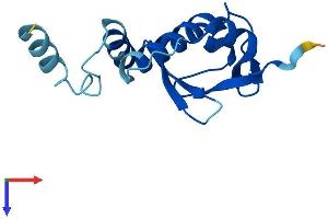 SNRNP25 Protein (AA 1-132) (His tag)