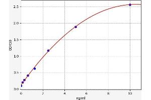 Typical standard curve (SAE1 ELISA Kit)
