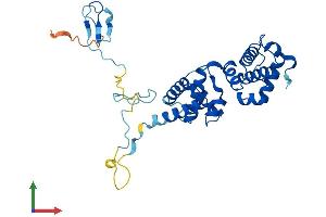 Protein Structure (PS) image for General Transcription Factor IIB (GTF2B) (AA 1-316) protein (His tag) (ABIN7556627)
