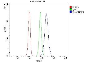 Flow Cytometry analysis of 293T cells using anti-SKA2 antibody (ABIN7603134).