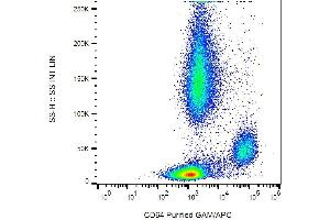 Surface staining of CD64 in human peripheral blood with anti-CD64 (10. (FCGR1A Antikörper)