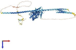 GLE1 Protein (AA 1-698) (His tag)