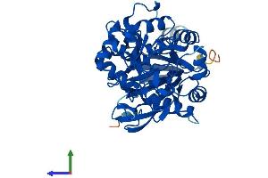 Protein Structure (PS) image for Amidohydrolase Domain Containing 2 (AMDHD2) (AA 1-409) protein (His tag) (ABIN7559408)