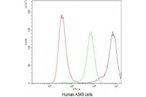 Flow Cytometry (FACS) image for anti-Ataxin 2 (ATXN2) (C-Term) antibody (ABIN3028477)