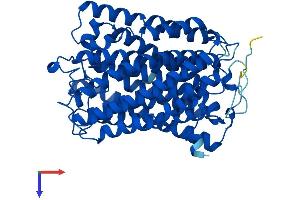 COX1 Protein (AA 1-513) (His tag)