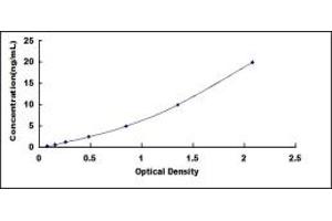 ALDH2 ELISA Kit