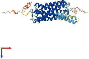 Opsin 1 (Cone Pigments), Medium-Wave-Sensitive, 3 (OPN1MW3) (AA 1-364) protein (His tag)