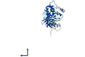 AlphaFold protein structure predicition of Mouse Recombinant Tssk4 Protein, UniprotID Q9D411