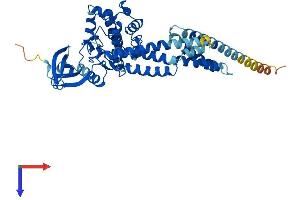 ULK3 Protein (AA 1-472) (His tag)