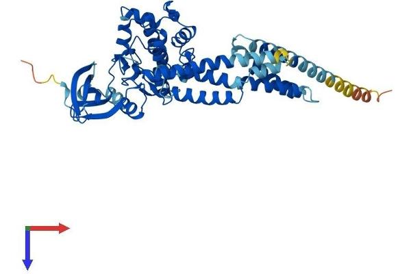 ULK3 Protein (AA 1-472) (His tag)