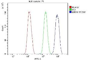 anti-Methyl-CpG Binding Domain Protein 4 (MBD4) (AA 16-580) antibody