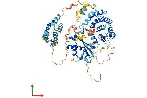 Protein Structure (PS) image for Fas-Activated serine/threonine Kinase (FASTK) (AA 1-549) protein (His tag) (ABIN7547657)