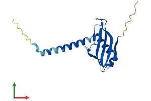 AlphaFold protein structure predicition of Human Recombinant COA1 Protein, UniprotID Q9GZY4