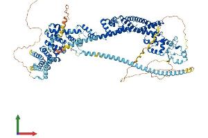 Protein Structure (PS) image for Dishevelled Associated Activator of Morphogenesis 1 (DAAM1) (AA 1-1077) protein (His tag) (ABIN7564409)