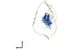 AlphaFold protein structure predicition of Human Recombinant BCL3 Protein, UniprotID P20749 (BCL3 Protein (AA 1-454) (His tag))