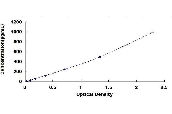 LTA ELISA Kit