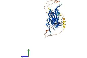 Protein Structure (PS) image for Potassium Inwardly-Rectifying Channel, Subfamily J, Member 14 (KCNJ14) (AA 1-436) protein (His tag) (ABIN7554221)