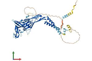 Protein Structure (PS) image for Purinergic Receptor P2X, Ligand Gated Ion Channel 2 (P2RX2) (AA 1-485) protein (His tag) (ABIN7564655)