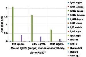 ELISA analysis of Mouse IgG2a (kappa) monoclonal antibody, clone RM107  at the following concentrations: 0. (Kaninchen anti-Maus Immunoglobulin Heavy Constant gamma 2A (IGHG2A) Antikörper (Biotin))