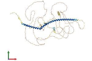 Protein Structure (PS) image for Polo-Like Kinase 1 Substrate 1 (PLK1S1) (AA 1-695) protein (His tag) (ABIN7557307)